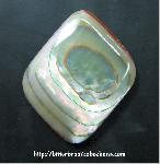 Abalone Shell Cabochon Abalone Shell Cabochon
