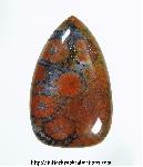 Agatized Coral Cabochon Agatized Coral Cabochon