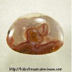 Agua Nueva Agate Agua Nueva Agate