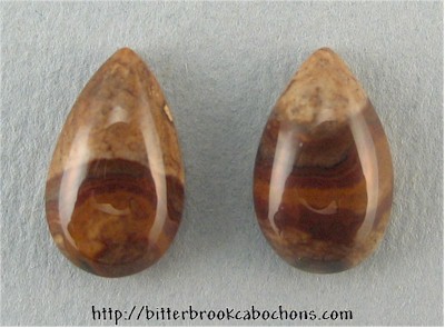 Biggs Canyon Picture Jasper Pair