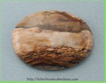 Biggs Canyon Picture Jasper Biggs Canyon Picture Jasper