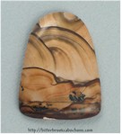 Biggs Canyon Jasper Biggs Canyon Jasper