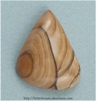 Biggs Canyon Jasper Biggs Canyon Jasper