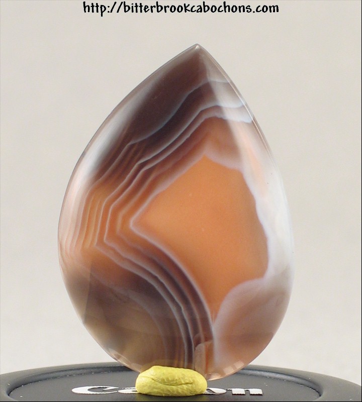 Botswana Agate
