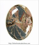 Butterfly Wing Jasper Butterfly Wing Jasper