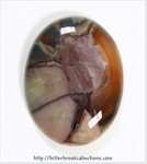 Butterfly Wing Jasper Butterfly Wing Jasper