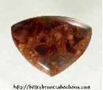 Butterfly Wing Cabochon Butterfly Wing Cabochon