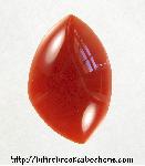 Carnelian Cabochon Carnelian Cabochon