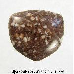 Crinoid Fossil Cabochon Crinoid Fossil Cabochon