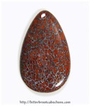 Dinosaur Bone Cabochon Dinosaur Bone Cabochon