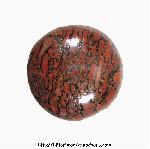 Dinosaur Bone<br>12.5 x 5 Dinosaur Bone<br>12.5 x 5