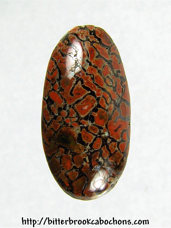 Dinosaur Bone Cabochon