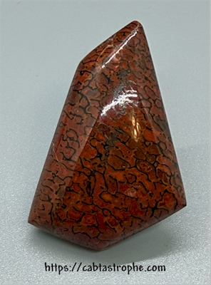 Dinosaur Bone Cabochon