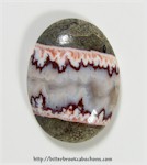 Forest Fire Plume Forest Fire Plume