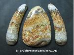 Lace Agate Cabochons Lace Agate Cabochons