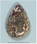 Leopardskin Jasper Leopardskin Jasper