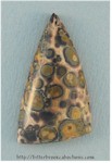 Leopardskin Jasper Leopardskin Jasper