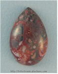 Leopardskin Jasper Leopardskin Jasper