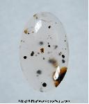 Montana Agate Cabochon Montana Agate Cabochon