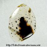Montana Agate Cabochon Montana Agate Cabochon