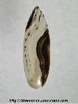 Montana Agate Cabochon Montana Agate Cabochon