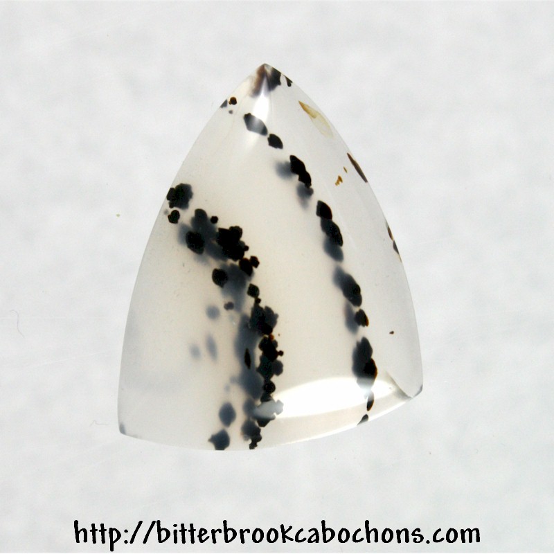 Montana Agate Cabochon