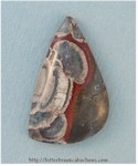 Mushroom Jasper Mushroom Jasper