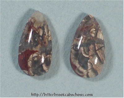 Mushroom Jasper Pair