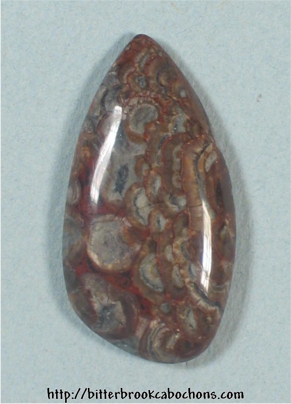 Mushroom Jasper