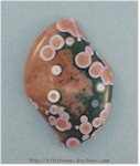 Ocean Jasper Ocean Jasper