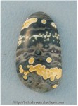 Ocean Jasper Ocean Jasper