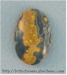 Ocean Jasper Ocean Jasper