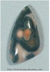 Ocean Jasper Ocean Jasper