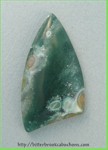 Ocean Jasper Ocean Jasper