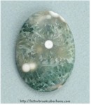 Ocean Jasper Ocean Jasper