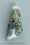 Ocean Jasper Ocean Jasper
