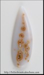 Ocean Jasper Ocean Jasper