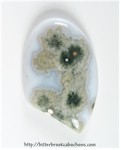 Ocean Jasper Ocean Jasper