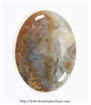 Ocean Jasper Ocean Jasper