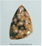 Ocean Jasper Cabochon Ocean Jasper Cabochon