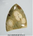 Ocean Jasper Cabochon Ocean Jasper Cabochon