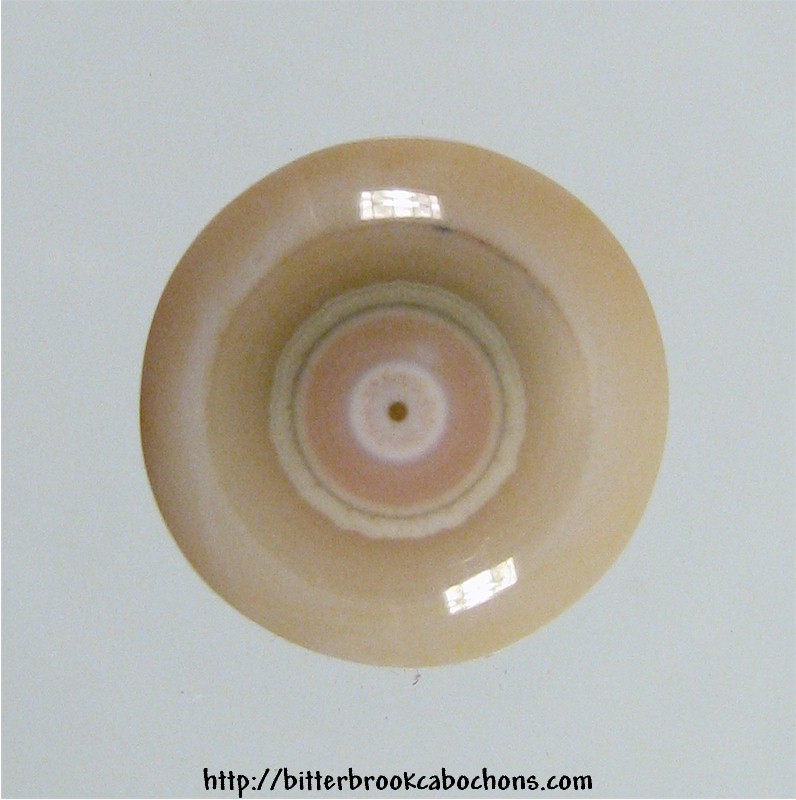 Ocean Jasper Cabochon