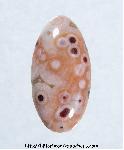 Ocean Jasper Cabochon Ocean Jasper Cabochon