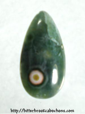 Ocean Jasper Cabochon
