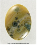 Ocean Jasper Cabochon Ocean Jasper Cabochon