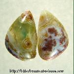 Ocean Jasper Cabochons Ocean Jasper Cabochons