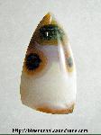 Ocean Jasper Cabochon Ocean Jasper Cabochon