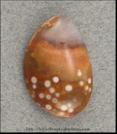 Orbicular Jasper Orbicular Jasper