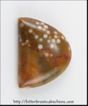 Orbicular Jasper Orbicular Jasper
