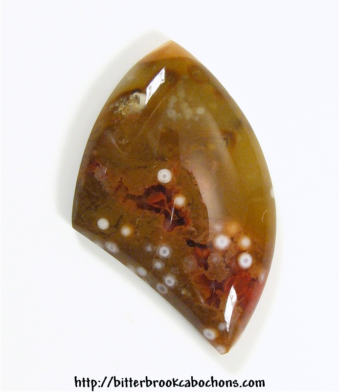 Orbicular Jasper